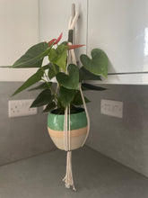Load image into Gallery viewer, Handmade Macrame Plant Hanger