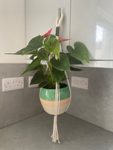 Load image into Gallery viewer, Handmade Macrame Plant Hanger