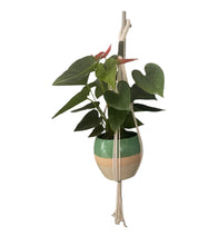 Load image into Gallery viewer, Handmade Macrame Plant Hanger
