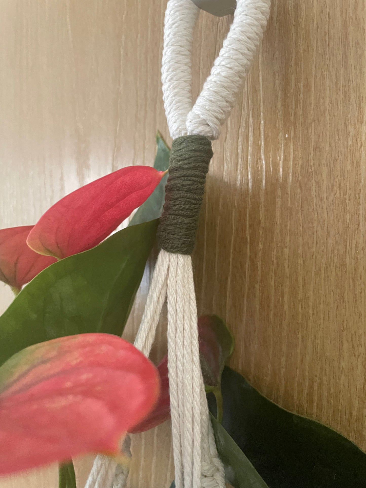 Handmade Macrame Plant Hanger