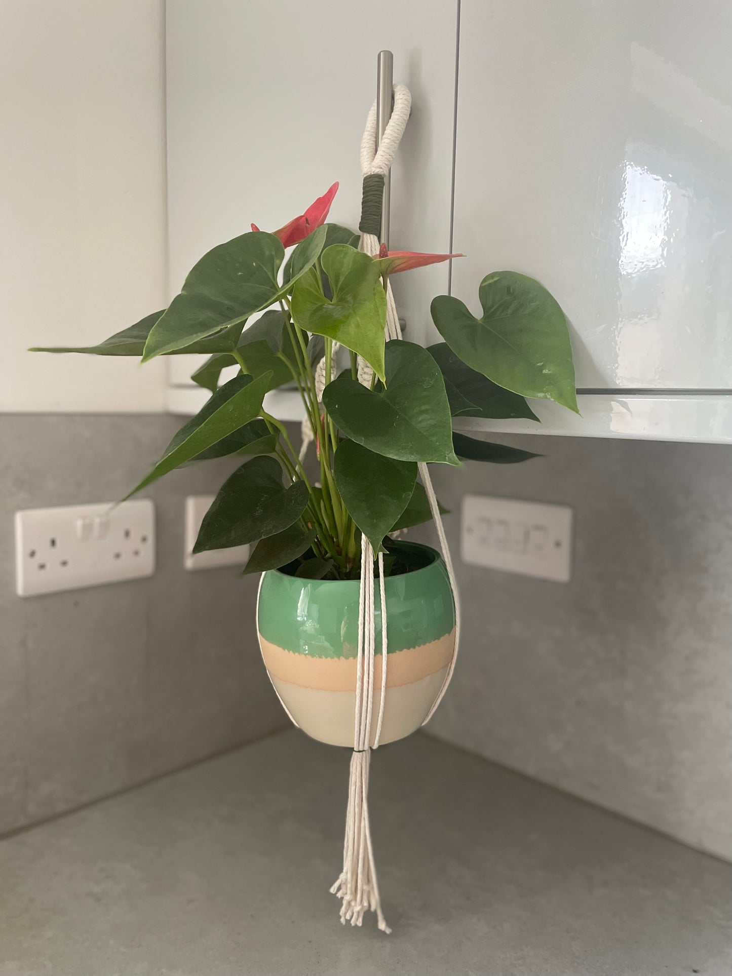 Handmade Macrame Plant Hanger