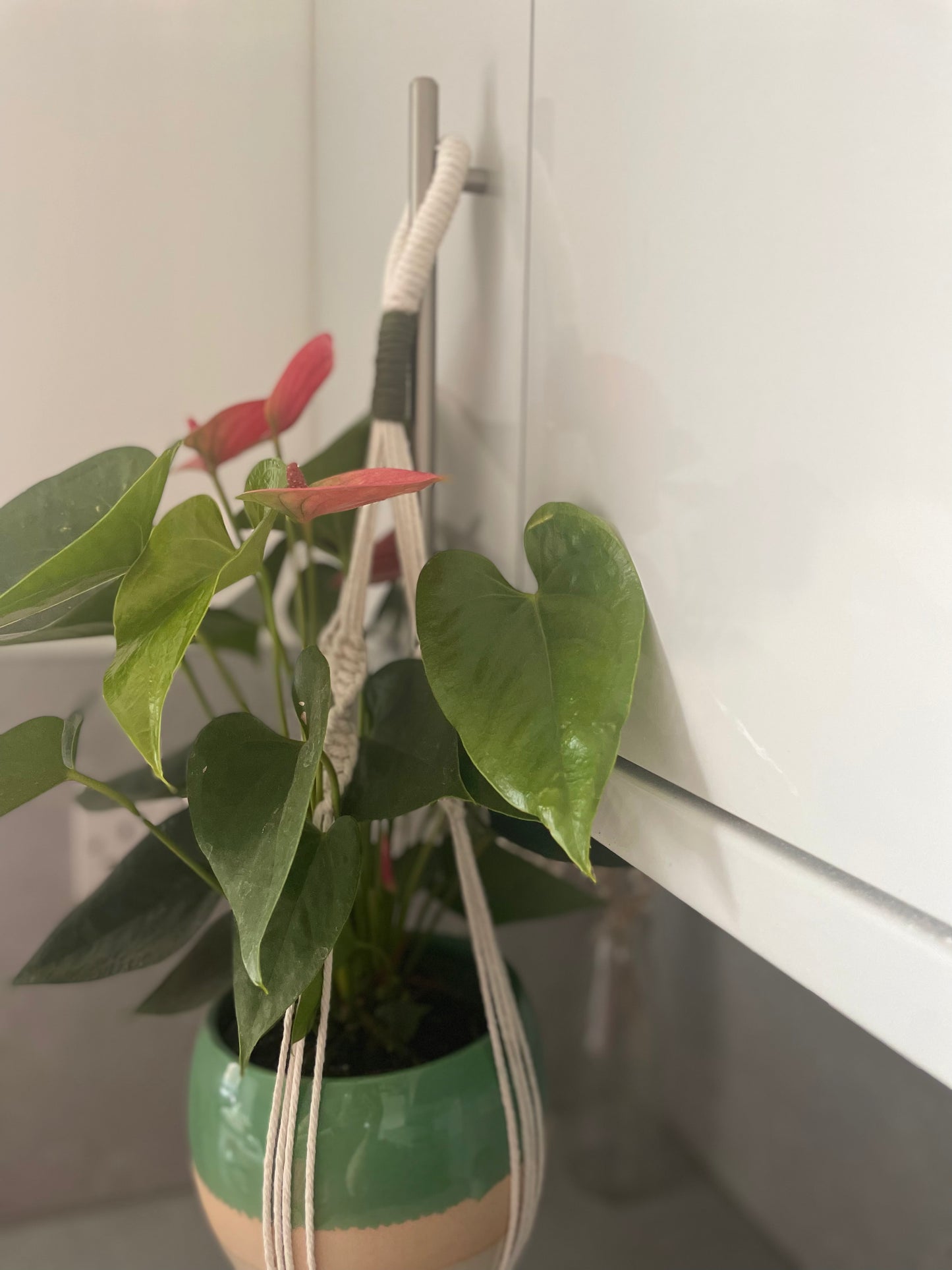 Handmade Macrame Plant Hanger