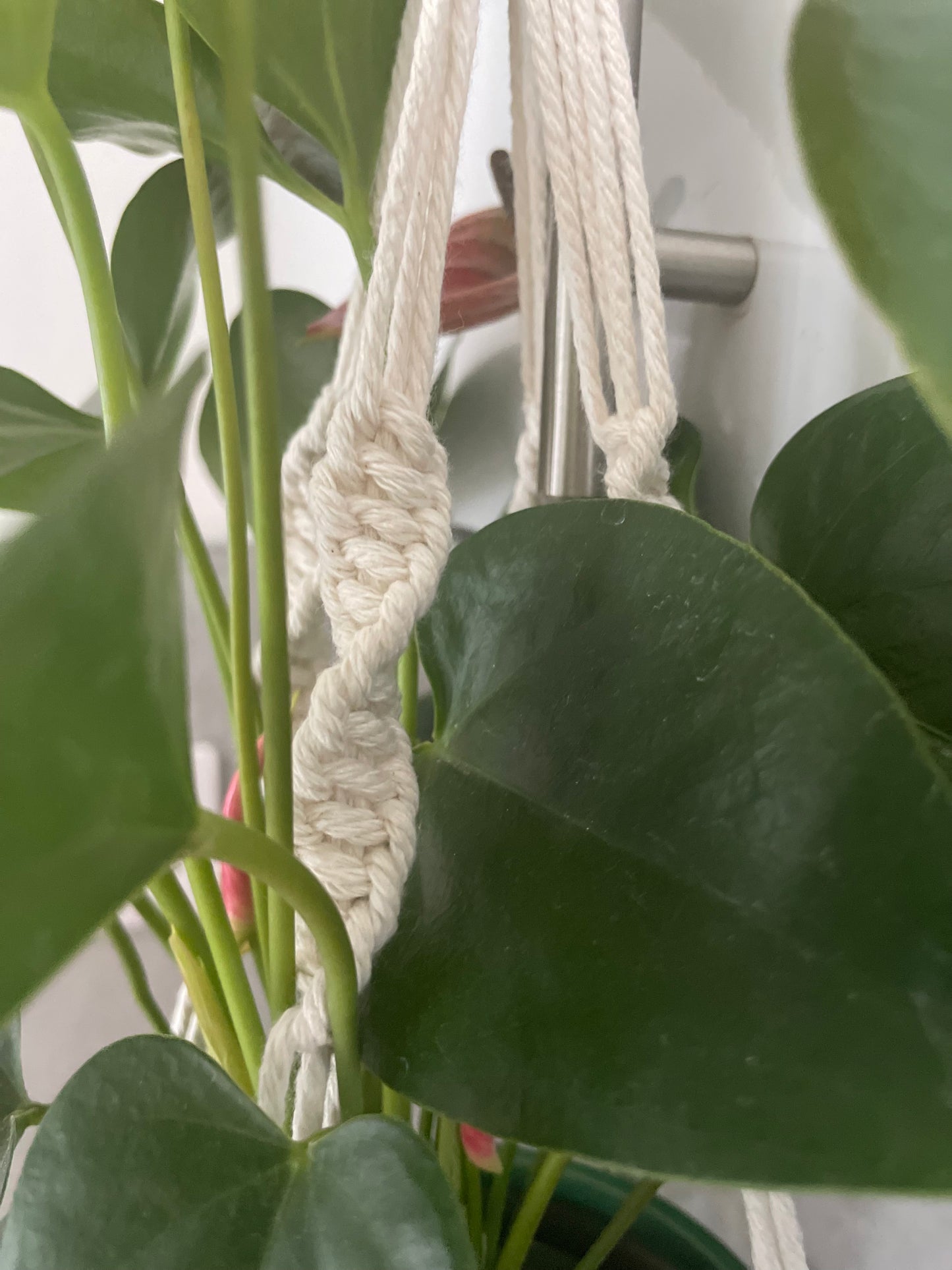 Handmade Macrame Plant Hanger
